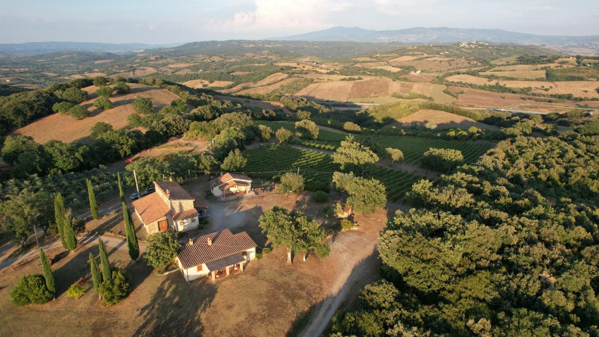Agriturismo Belvedere Di Pierini E Brugi Campagnatico Exterior foto